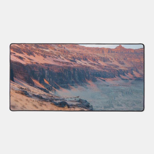 Alfrombrillas De Escritorio Desierto Pintado (Anverso)