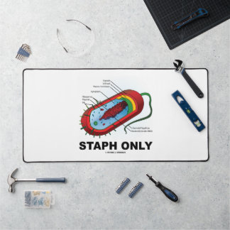 Alfrombrillas De Escritorio Diagrama de bacteria solo Staph procariota bacteri