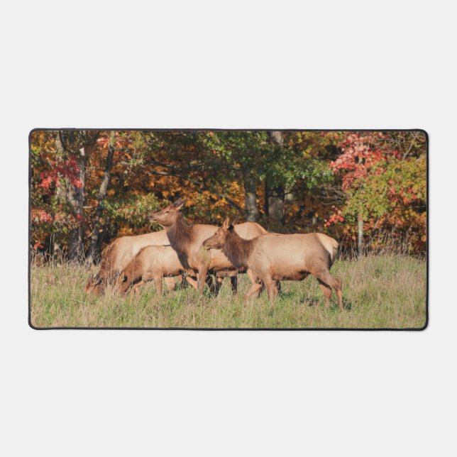 Alfrombrillas De Escritorio Elk Desk Mat (Anverso)