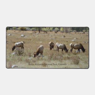 Alfrombrillas De Escritorio Elk in Rocky Mountain National Park