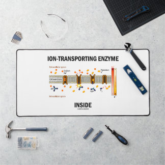 Alfrombrillas De Escritorio Enzima Transportadora De Iones Dentro Del Transpor