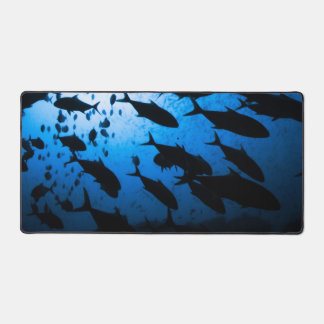 Alfrombrillas De Escritorio Escuela de Pescados de Buceo