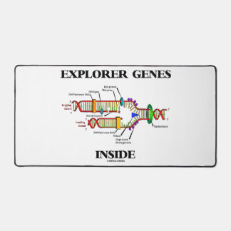 Alfrombrillas De Escritorio Explorador Genes Dentro de la Replicación del ADN