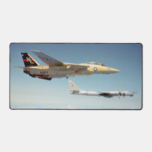 ALFROMBRILLAS DE ESCRITORIO F-14 TOMCAT
