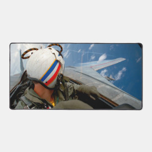 ALFROMBRILLAS DE ESCRITORIO F-14 TOMCAT