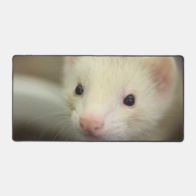 Alfrombrillas De Escritorio Ferret face (Anverso)