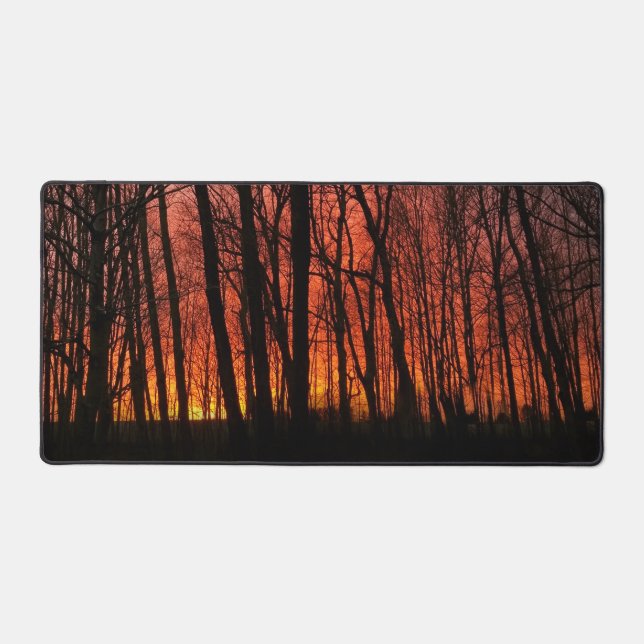 Alfrombrillas De Escritorio Firey Sunset Forest (Anverso)