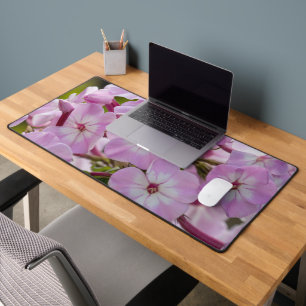 Alfrombrillas De Escritorio Flor de Phlox Rosa, fotografía canadiense