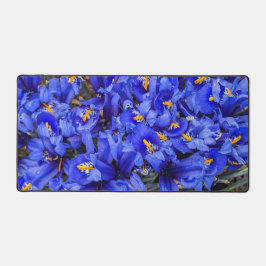 Alfrombrillas De Escritorio Floral de irisis reticuladas púrpura