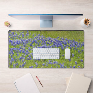Alfrombrillas De Escritorio Flores de arenas azules de Texas Arte de flores si
