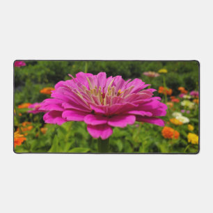 Alfrombrillas De Escritorio Flores rosadas