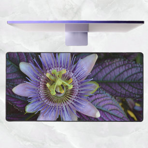 Alfrombrillas De Escritorio Fotografía botánica Passiflora Púrpura
