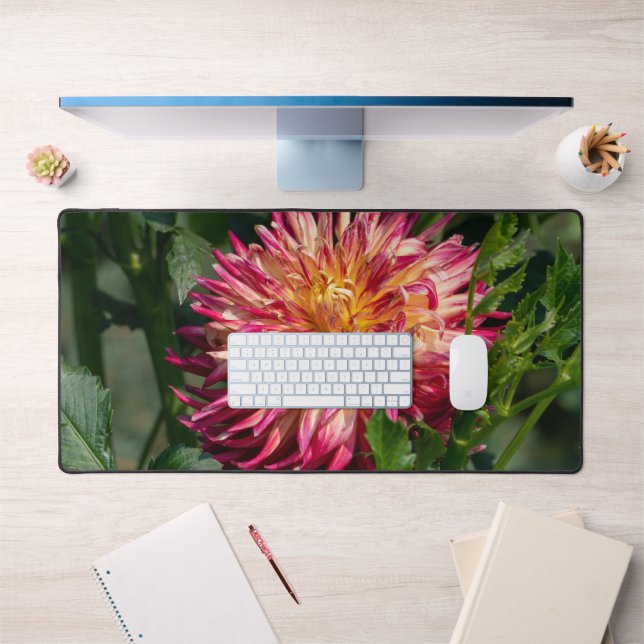 Alfrombrillas De Escritorio Fotografía de crisantemo naranja, flor canadiense (Oficina 1)