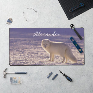 Alfrombrillas De Escritorio Fotografía de invierno de la nieve de Fox blanca