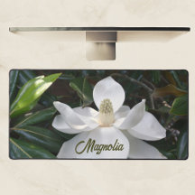 Fotografía floral de Magnolia Blanca Blossom