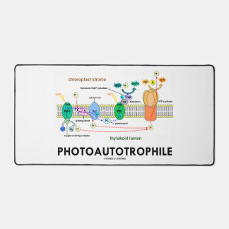 Alfrombrillas De Escritorio Fotosíntesis fotofotonófila