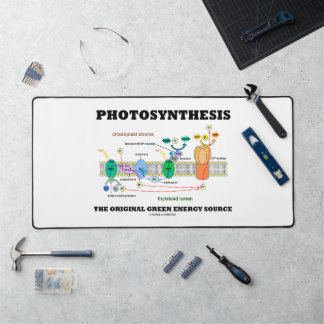 Alfrombrillas De Escritorio Fotosíntesis La Fuente Original de Energía Verde