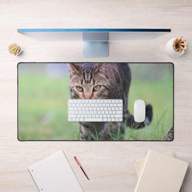 Alfrombrillas De Escritorio Gabe (Oficina 1)