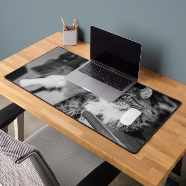 Alfrombrillas De Escritorio Gato (Oficina 2)