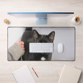 Alfrombrillas De Escritorio Gato