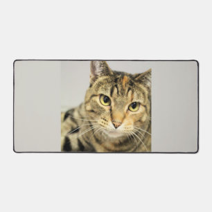 Alfrombrillas De Escritorio Gato