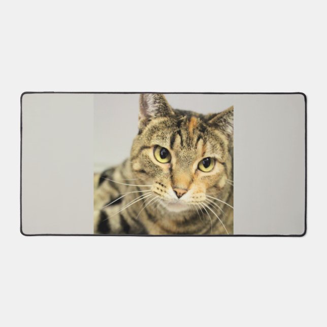 Alfrombrillas De Escritorio Gato (Anverso)