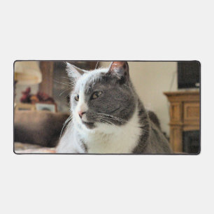 Alfrombrillas De Escritorio Gato