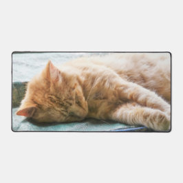 Alfrombrillas De Escritorio Gato de jengibre longevo dormido