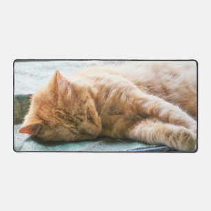 Alfrombrillas De Escritorio Gato de jengibre longevo dormido