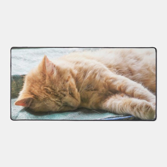 Alfrombrillas De Escritorio Gato de jengibre longevo dormido (Anverso)