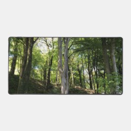 Alfrombrillas De Escritorio Glade de bosque adornado con luz solar