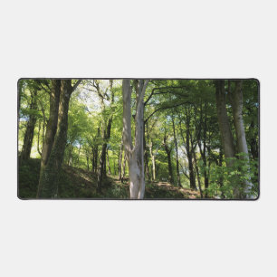 Alfrombrillas De Escritorio Glade de bosque adornado con luz solar