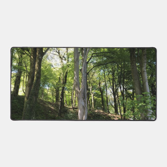 Alfrombrillas De Escritorio Glade de bosque adornado con luz solar (Anverso)