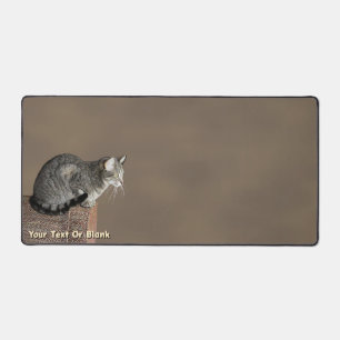 Alfrombrillas De Escritorio Gris ahumado gato de tabulación