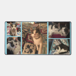 Alfrombrillas De Escritorio Gris y gato blanco