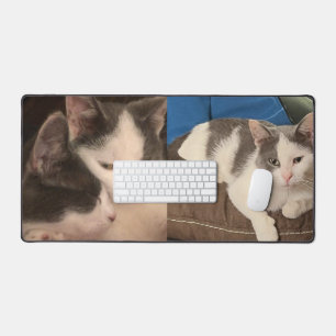 Alfrombrillas De Escritorio "Gris y gato blanco"