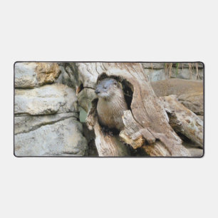 Alfrombrillas De Escritorio Harry Otter