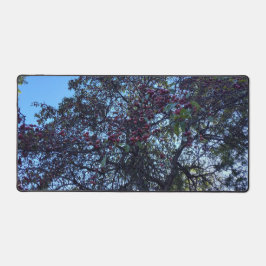 Alfrombrillas De Escritorio Hawthorn Berries