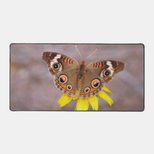 Alfrombrillas De Escritorio Hermosa mariposa sobre la flor amarilla