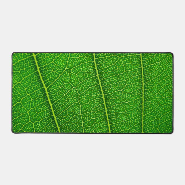 Alfrombrillas De Escritorio Hoja de árbol verde (Anverso)