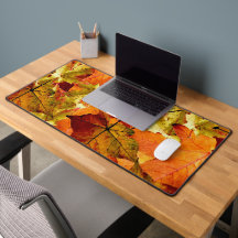 Hojas otoñales caídas