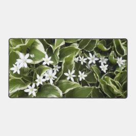 Alfrombrillas De Escritorio Hosta y Ornithogalum Floral