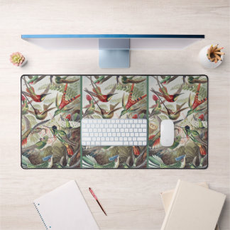 Alfrombrillas De Escritorio Hummingbird Bird Wildlife Classic Painting