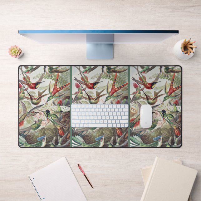 Alfrombrillas De Escritorio Hummingbird Bird Wildlife Classic Painting (Oficina 1)