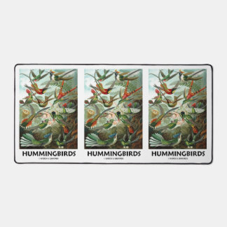 Alfrombrillas De Escritorio Hummingbirds Ernest Haeckel Artefanías De La Natur