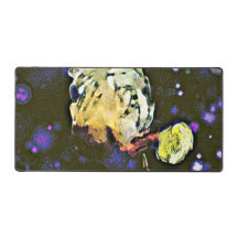 Invisionista: Un viaje celeste