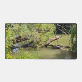 Alfrombrillas De Escritorio La belleza de un arroyo desde adentro