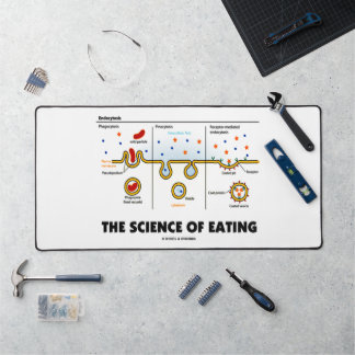 Alfrombrillas De Escritorio La Ciencia Del Humor De La Biología De La Endocito