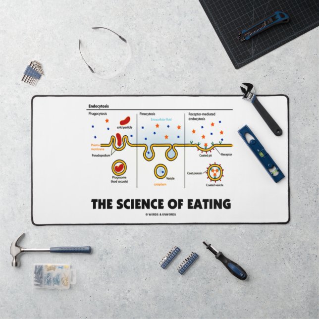 Alfrombrillas De Escritorio La Ciencia Del Humor De La Biología De La Endocito (Puesto de trabajo)
