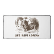 La Vida No Es Más Que Un Dream Wonderland Dormido